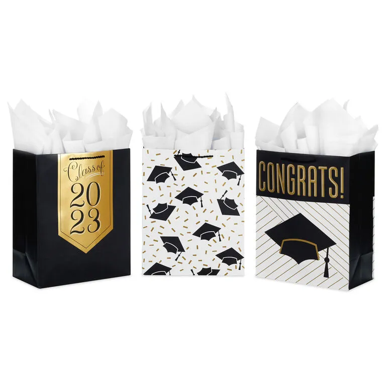 Hallmark 13" Assorted Grad Designs 3-Pack Large Gift Bags With Tissue Paper