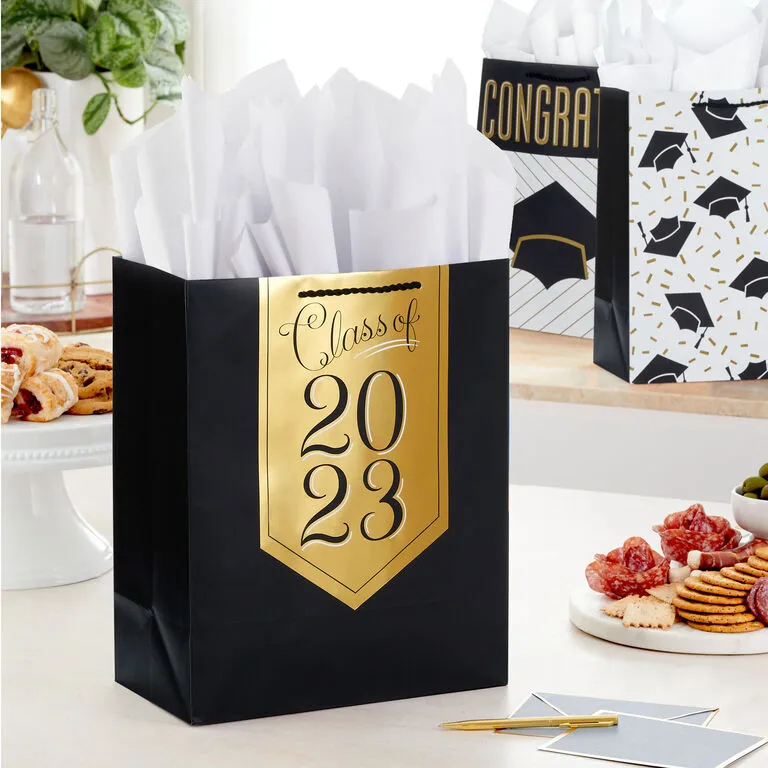 Hallmark 13" Assorted Grad Designs 3-Pack Large Gift Bags With Tissue Paper - Image 2