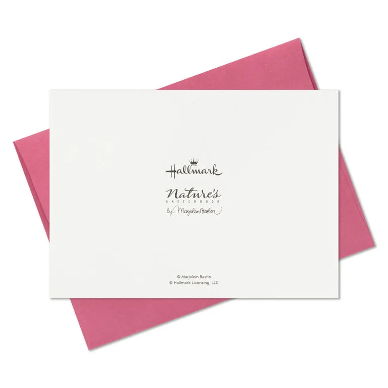 Hallmark Marjolein Bastin Assorted Blank Nature Note Cards In Caddy, Pack Of 24 - Image 9