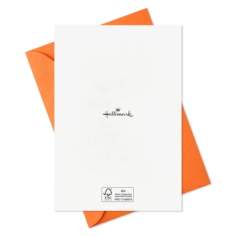 Hallmark Boo To You Boxed Halloween Cards Assortment, Pack Of 36 - Image 8