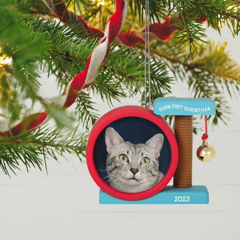 Hallmark Purr-fect Christmas 2023 Photo Frame Ornament - Image 2
