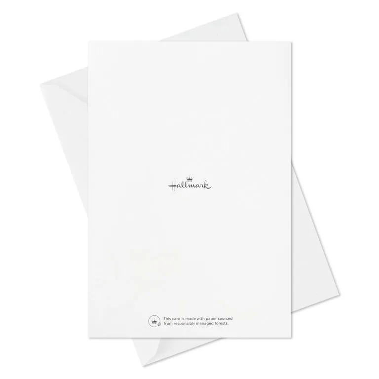 Hallmark Colorful Classic Boxed All-Occasion Cards Assortment, Pack Of 12 - Image 10