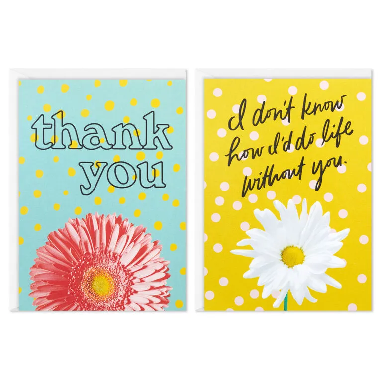 Hallmark Colorful Daisies Boxed Thank-You Notes, Pack Of 50 - Image 2