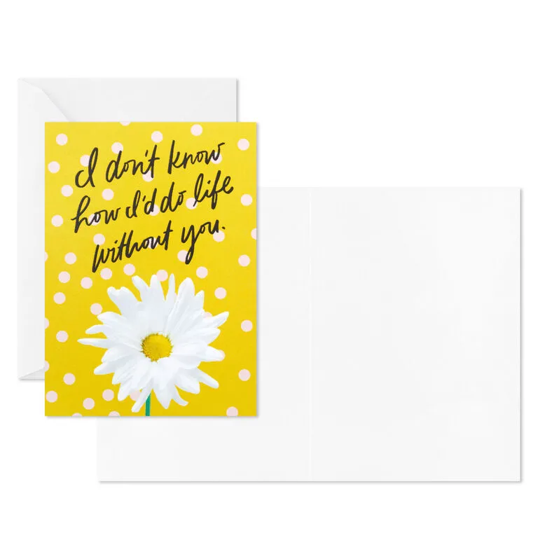 Hallmark Colorful Daisies Boxed Thank-You Notes, Pack Of 50 - Image 4