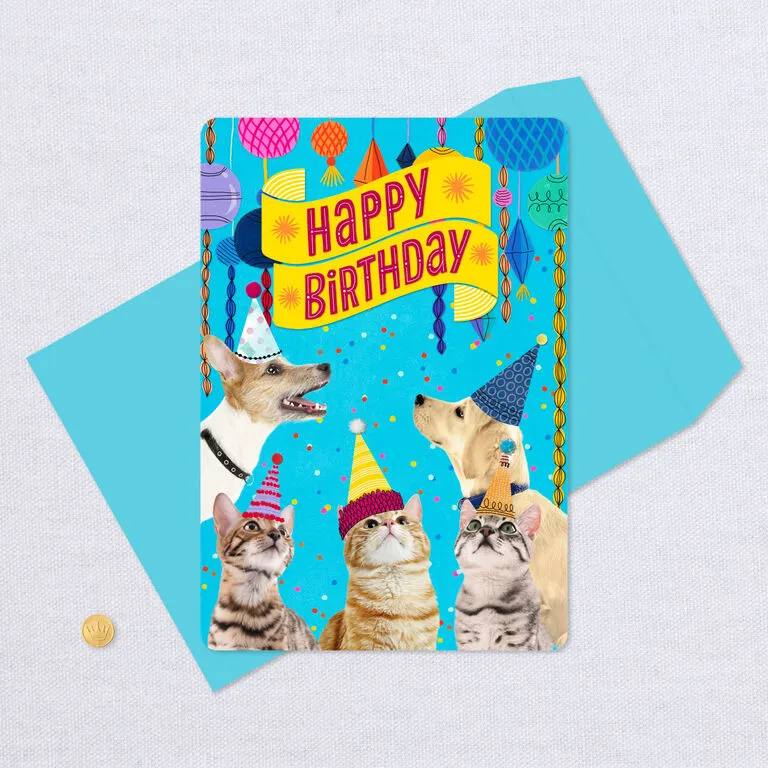 Hallmark 16" Party Cats And Dogs Jumbo Birthday Card From All - Image 5
