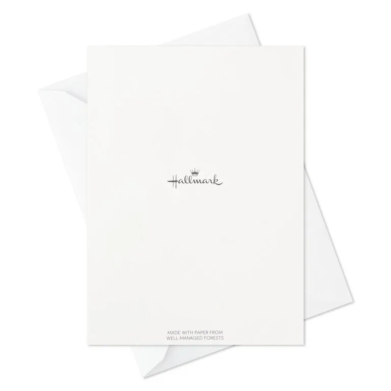 Hallmark Pattern Play Assorted Blank Note Cards, Pack Of 48 - Image 5