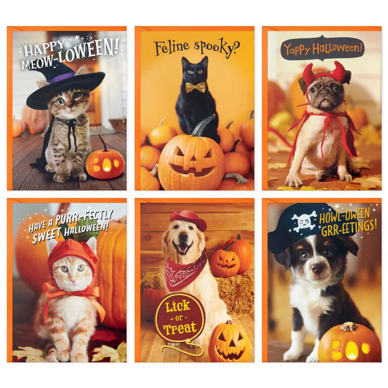 Hallmark Pet Puns Boxed Halloween Cards Assortment, Pack Of 48 - Image 2