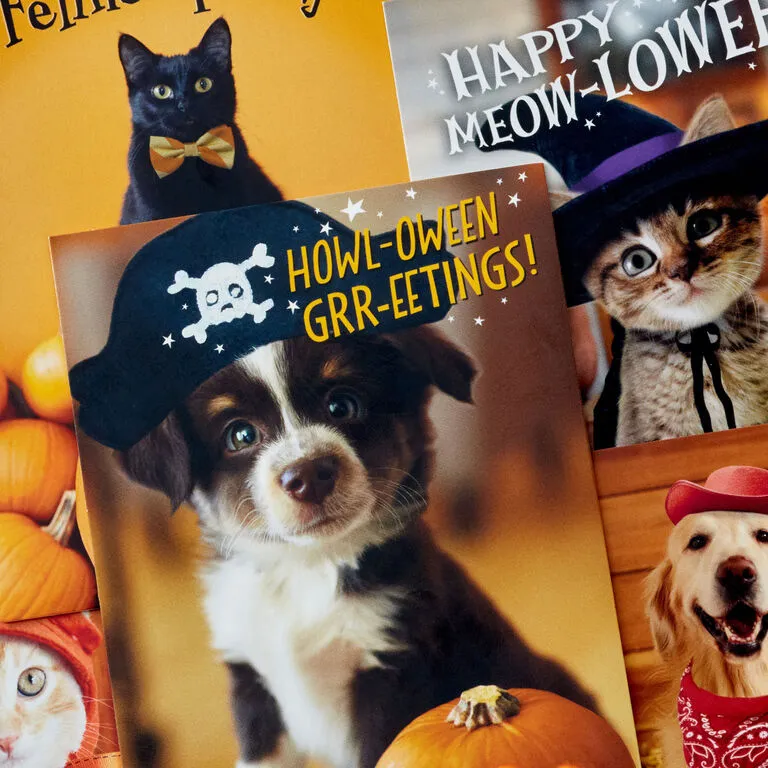 Hallmark Pet Puns Boxed Halloween Cards Assortment, Pack Of 48 - Image 3