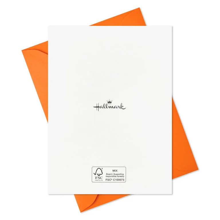 Hallmark Pet Puns Boxed Halloween Cards Assortment, Pack Of 48 - Image 5