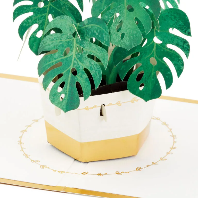 Hallmark Plant In Pot 3D Pop-Up Thinking Of You Card - Image 3