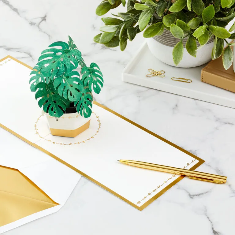 Hallmark Plant In Pot 3D Pop-Up Thinking Of You Card - Image 7