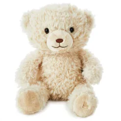 Hallmark Be There When You Canāt Recordable Bear Stuffed Animal, 10ā