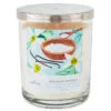 Hallmark Sea Salt Vanilla 3-Wick Jar Candle, 16 Oz.