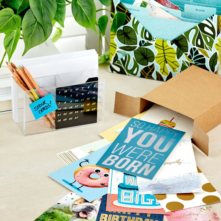 Hallmark Warm Wishes Assorted All-Occasion Cards, Box Of 48 - Image 7