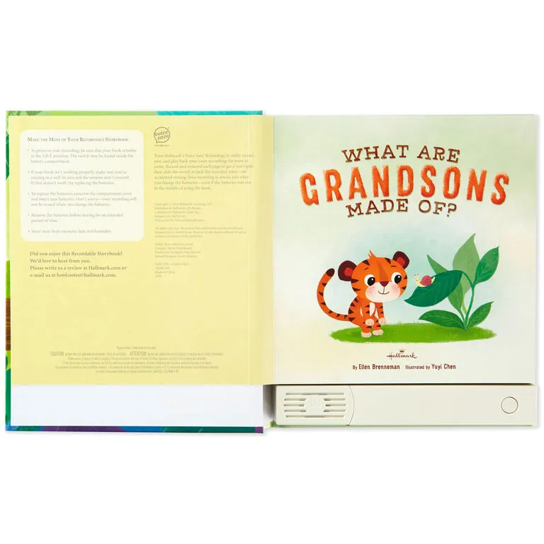 Hallmark What Are Grandsons Made Of? Recordable Storybook - Image 3
